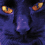 デヴィッド・キルガー&ザ・ヘヴィー・エイツ - ボビーズ・ア・ガール(ビニールレコード)