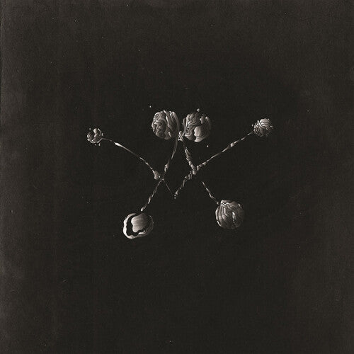 Waterstrider - Nowhere Now (Vinyl)