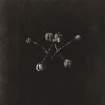 Waterstrider - Nowhere Now (Vinyl)