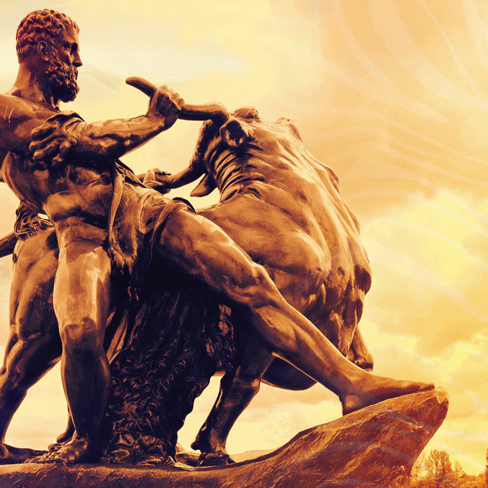 the album cover for MAGNOLIA - Ta Tjuren Vid Hornen