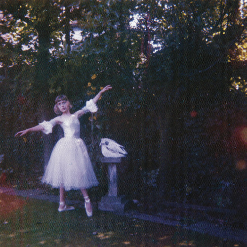 the album cover for Wolf Alice - Visions Of A Life