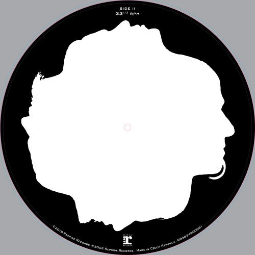 ディスターブド - Believe (レコード)