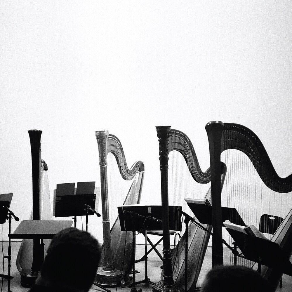 the album cover for Behavior - Spirits & Embellishments