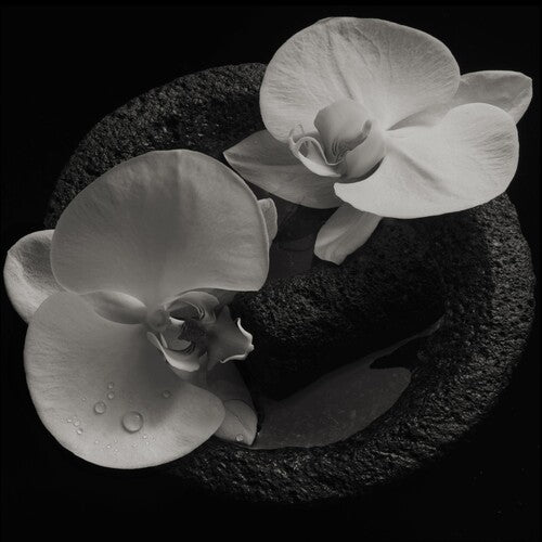 Mike Patton & Jean-Claude Vannier - Corpse Flower (CD)