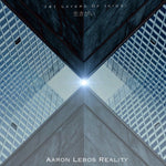 the album cover for Aaron Lebos Aaron Lebos Reality - 141 Layers of Ikigai