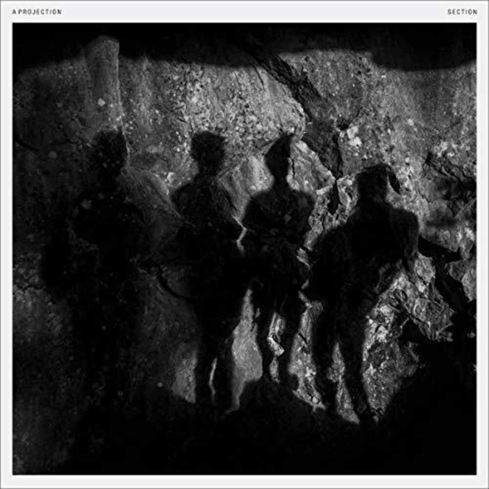 the album cover for Projection - Section