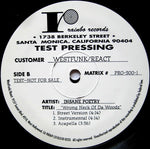 Insane Poetry : Concrete Vietnam / Wrong Neck Of Da Woodz (12", TP)