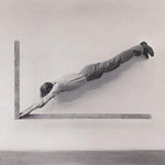 Shepherds - Insignificant Whip (Vinyl)