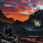 Negativland - True False (Vinyl)
