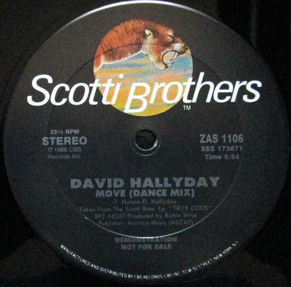 David Hallyday : Move (12", Promo)