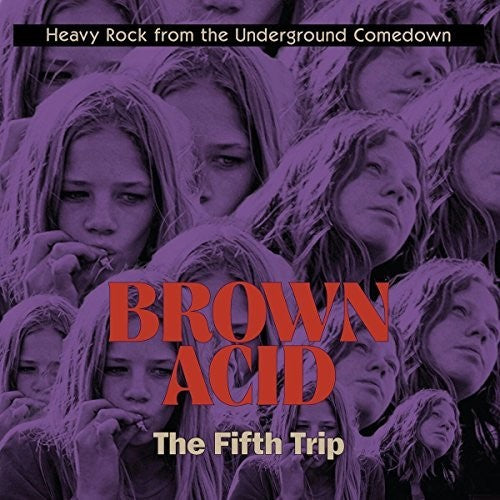 the album cover for Brown Acid - The Fifth Trip / Various - Brown Acid - The Fifth Trip / Various