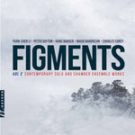 the album cover for Bargrizan - Figments 2