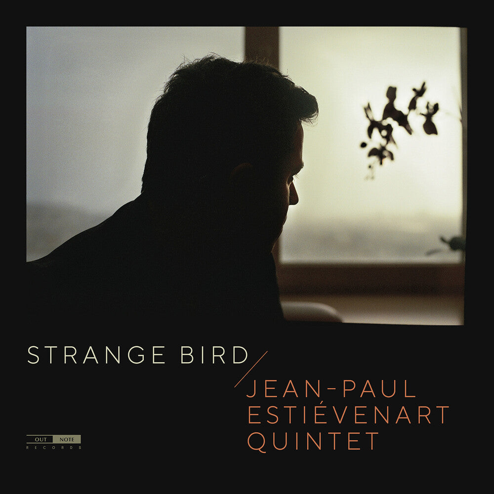 the album cover for Estievenart - Strange Bird