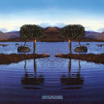 Bruce Dickinson - Skunkworks (Vinyl)