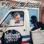the album cover for Antonio Socci - French Poodle