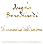 the album cover for Angelo Branduardi - Il Cammino Dell'Anima