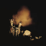 Pearl Jam - Riot Act (Vinilo)