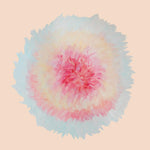 the album cover for Signe Marie Rustad - When Words Flew Freely