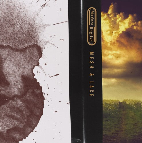 モダンイングリッシュ - メッシュ&レース(ビニール)