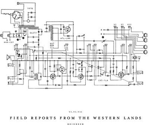 James Reindeer - Field Reports From The Western Lands (Vinyl)