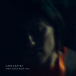 the album cover for Last Leaves - Other Towns Than Ours