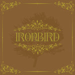 the album cover for Ironbird - Ironbird