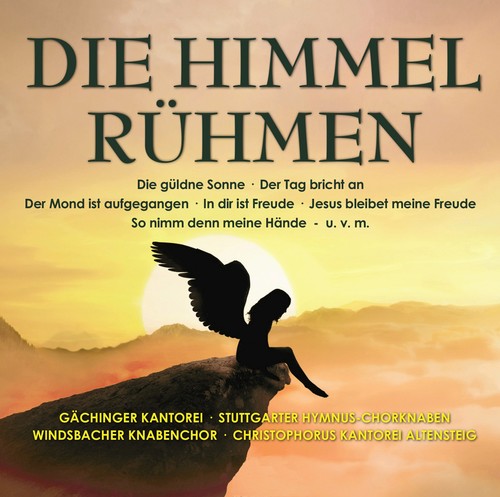 the album cover for Diverse - Die Himmel Ruhmen