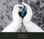 the album cover for Joe Morris - Singularity