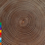 アムジャド・カーン・アリ - モクシャ (CD)