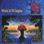 the album cover for The Allman Brothers Band - Where It All Begins