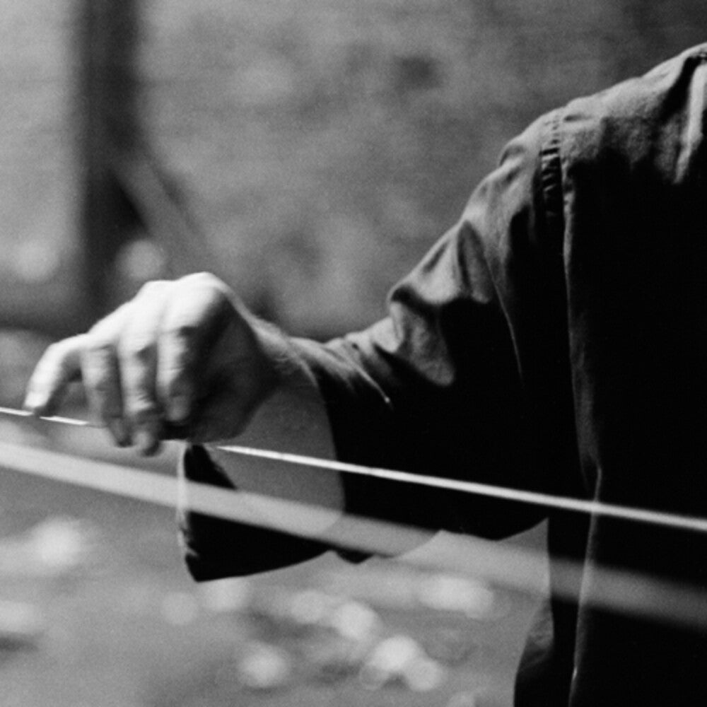 the album cover for Terry Fox - Linkage