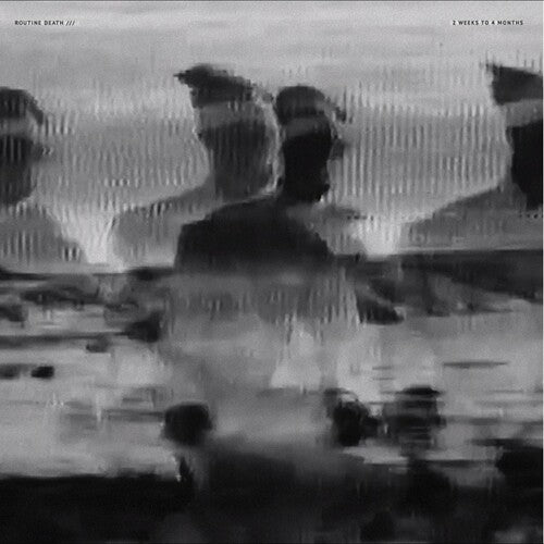 Routine Death - 2 Weeks To 4 (Vinyl)