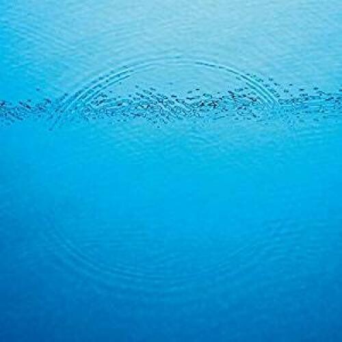 カリブー - サドンリー (ビニールレコード)