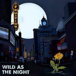 the album cover for Fruition - Wild As The Night, Broken At The Break Of Day