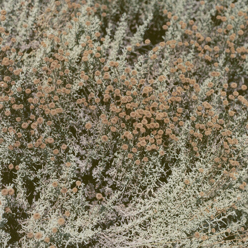 ラヴィング - イフ・アイ・アム・オンリー・マイ・ソウツ(レコード)