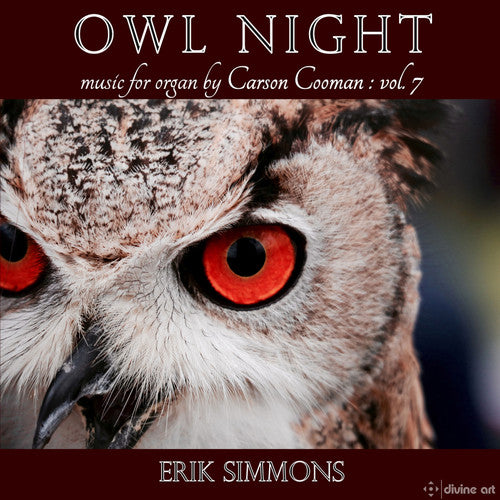 the album cover for Cooman / Simmons - Owl Night