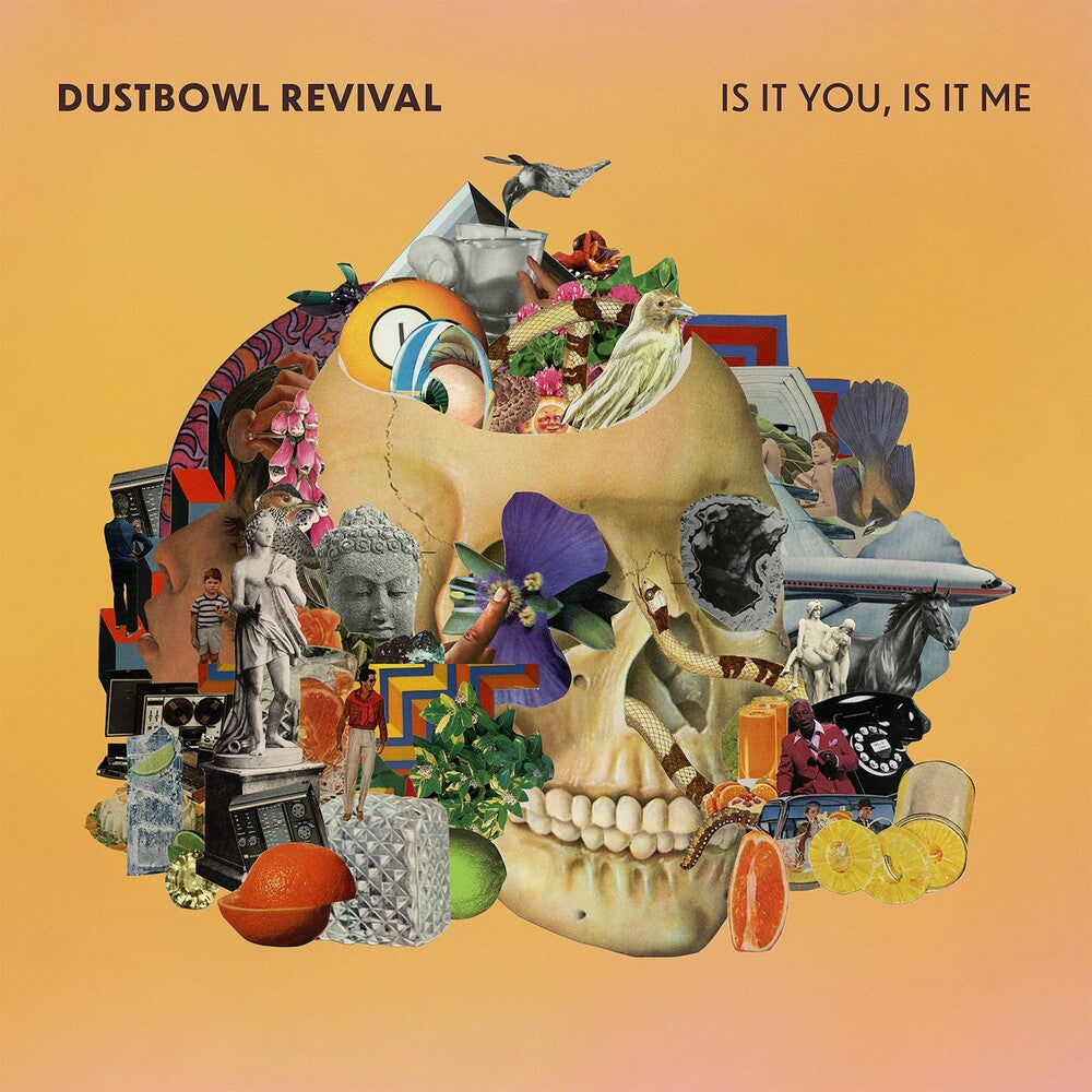 the album cover for Dustbowl Revival - Is It You, Is It Me
