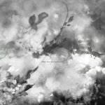 the album cover for Exitmusic - Recognitions