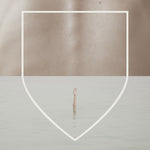 the album cover for Reuben and The Dark - Arms Of A Dream