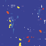 Djm Trio - Cave Art Two (Vinyl)