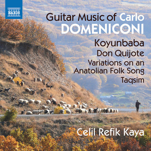 the album cover for Domeniconi / Kaya - Guitar Music of Carlo Domeniconi