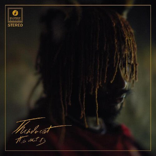 Thundercat - It Is What It Is (CD)