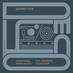 the album cover for Paul Amereller - Decoy
