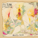 the album cover for Ayla Brook & Sound Men - Desolation Sounds