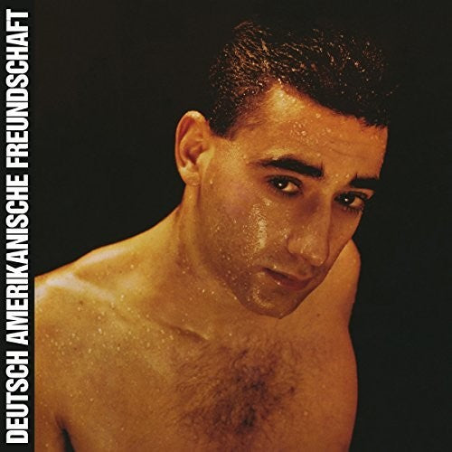 DAF - Alles Ist Gut (レコード)