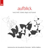 the album cover for Aufblick / Various - Aufblick