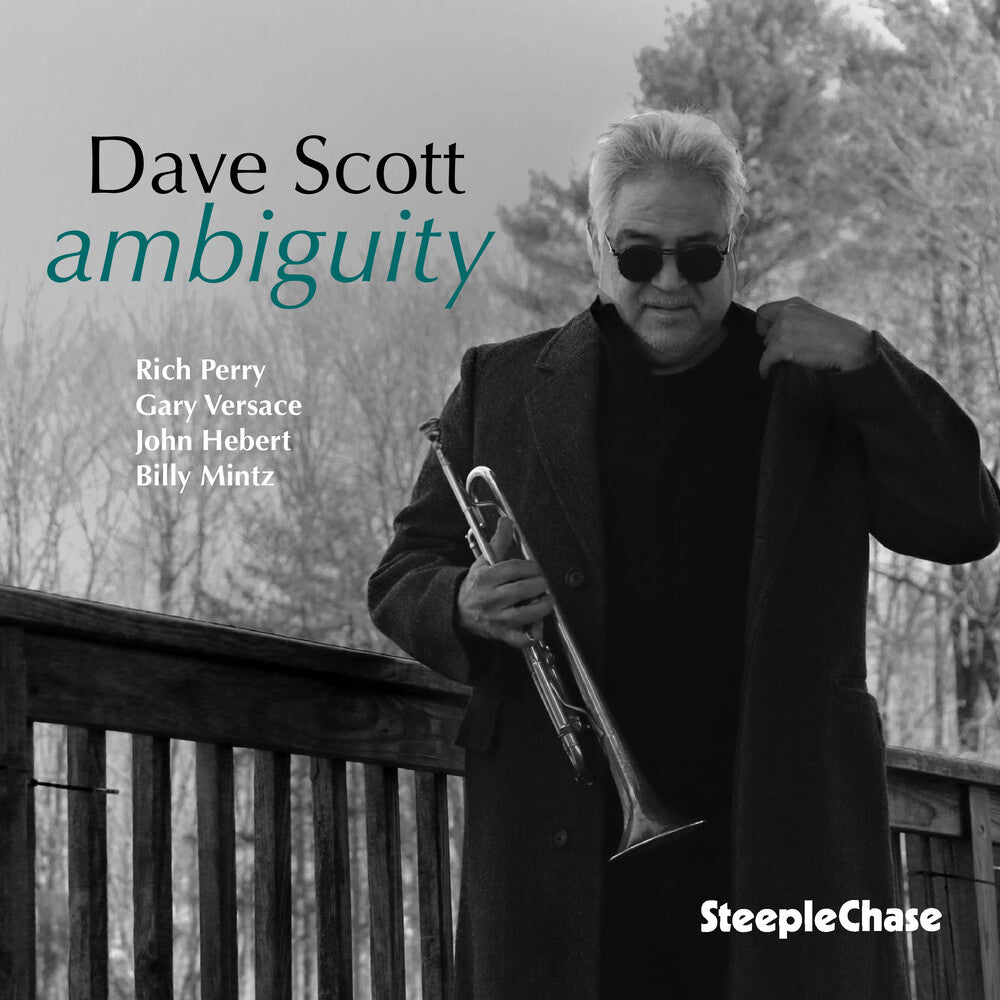 the album cover for Dave Scott - Ambiguity