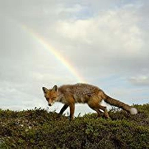 Buck Meek - Buck Meek (Vinyl)