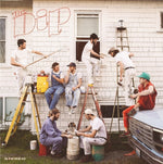 the album cover for Dip - The Dip