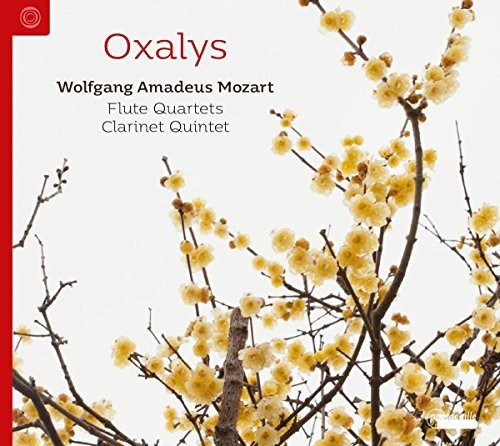 the album cover for Mozart - Flute Quartets & Clarinet Quintets